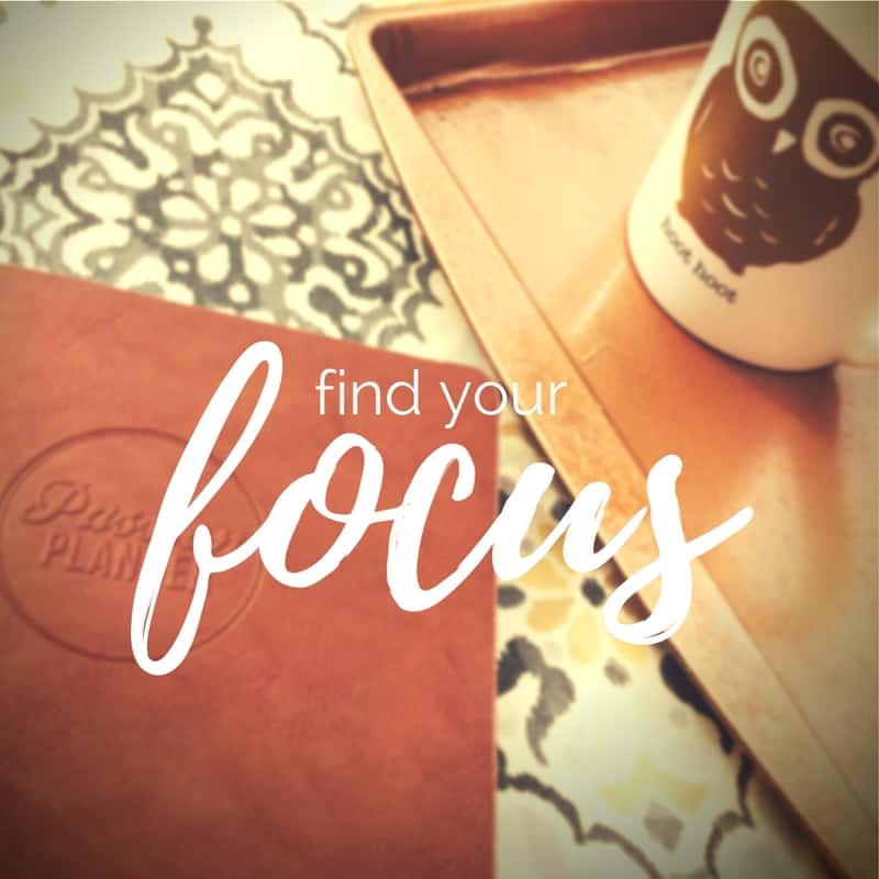find your focus.