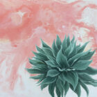Agave One by Emily Scott