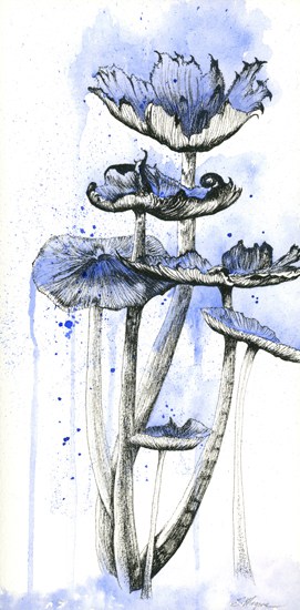 Blue Mushrooms dpi